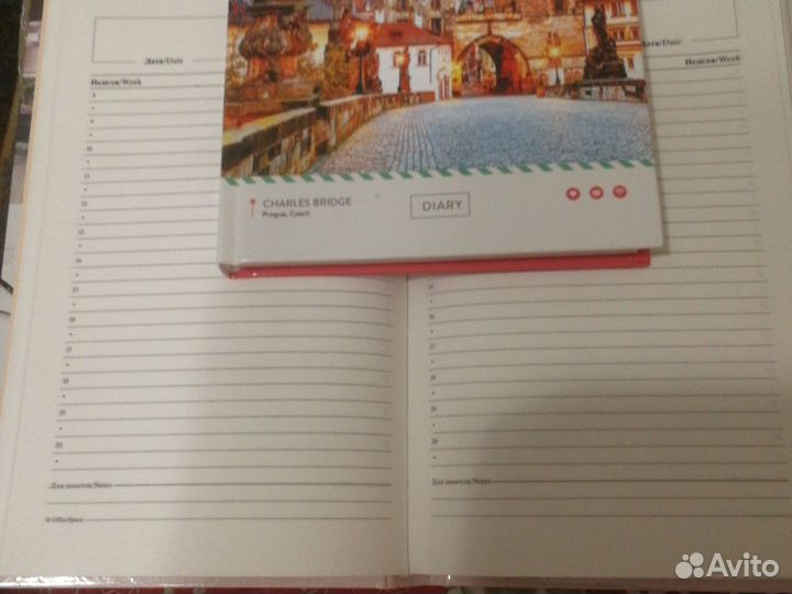 Ежедневник недатированный