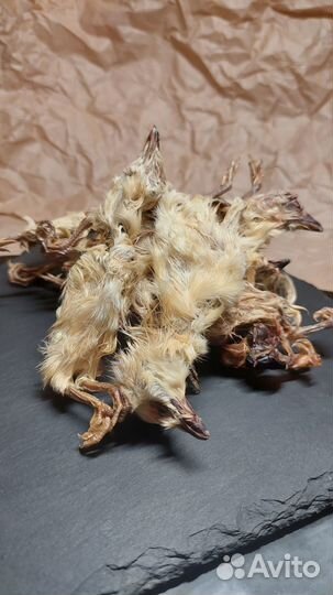 Лакомства для собак