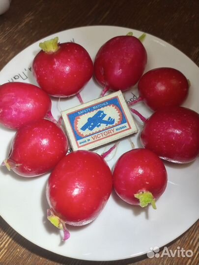 Кабачки/Редис/Огурцы