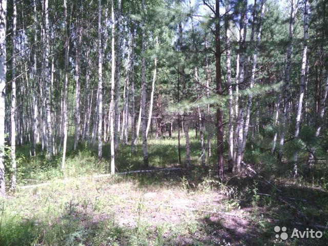 Участок 6 га (СНТ, ДНП)