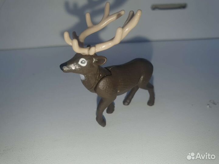 Kinder surprise applaydu natoons