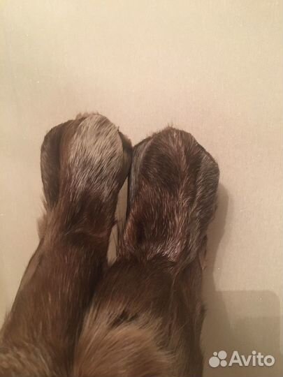 Кисы детские