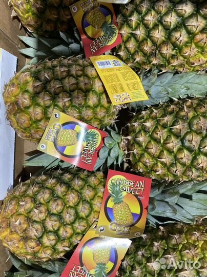 Ананас голд