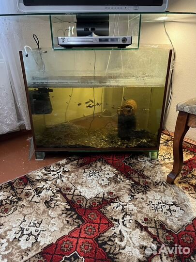 Аквариум с рыбками