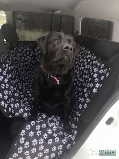 Автогамак для собак