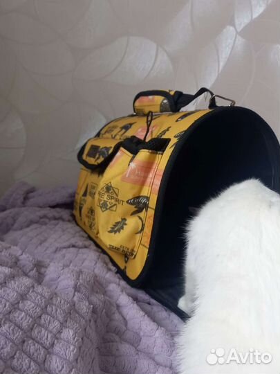 Сумка переноска для кота