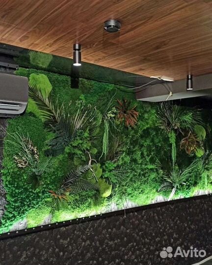 Стабилизированный мох. Озеленение интерьера