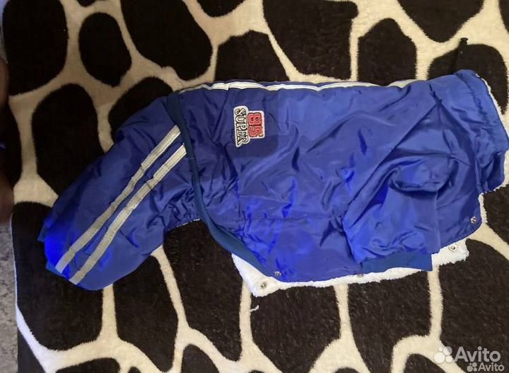 Дождевик для средней собаки