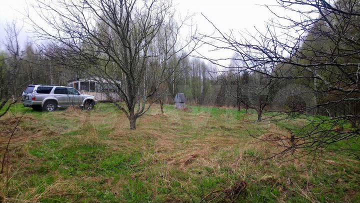 Участок 40 сот. (СНТ, ДНП)