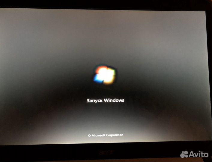Acer