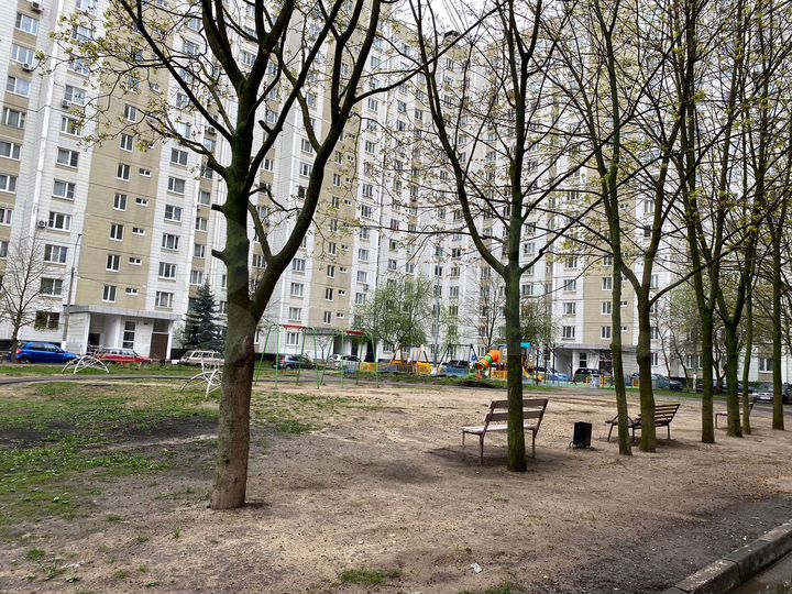 3-к. квартира, 75,3 м², 1/16 эт.