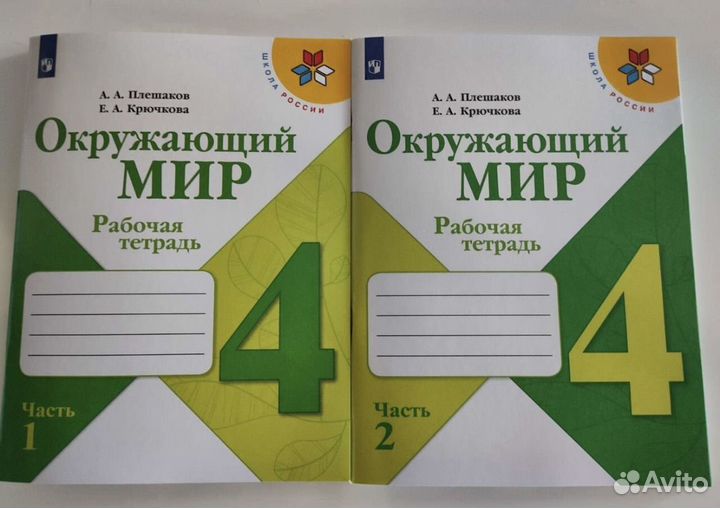 Рабочая тетрадь 4 класс окружающий мир