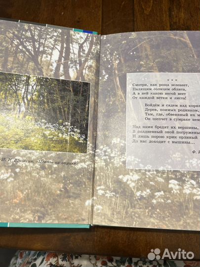 Учебник литерптуры Коровин 2024 7 класс