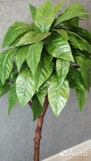 Манго искусственное дерево