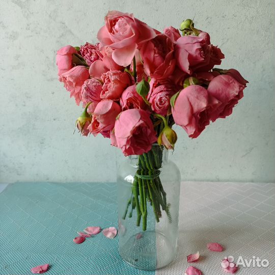 Сухие розы кустовые