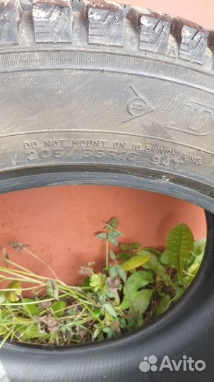 Dunlop SP Winter Ice 01 205/55 R16 94T