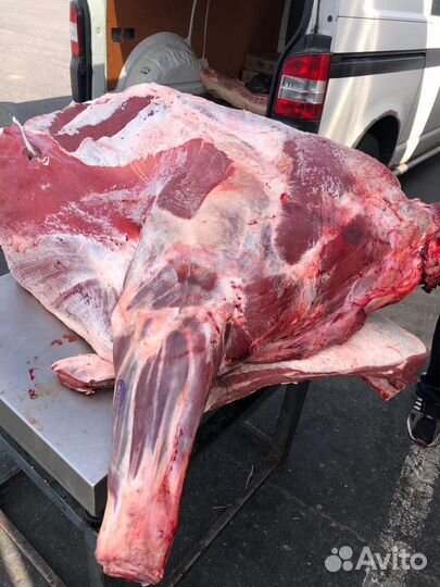 Говядина охлажденная быки в полутушах