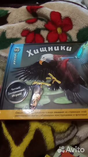 Книга про хищников