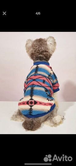 Одежда для собак мелких пород