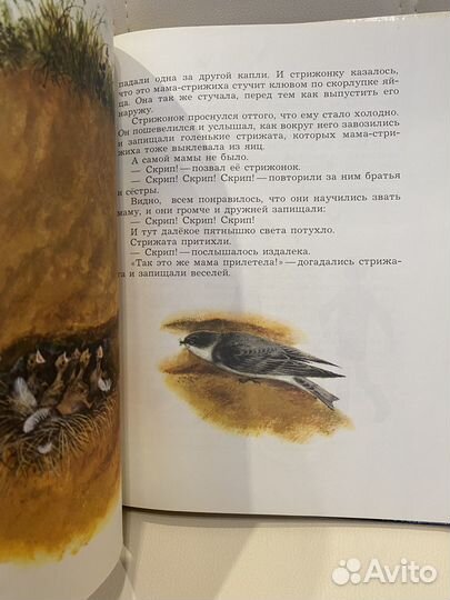 В.Астафьев. В тайге, у Енисея, 1982