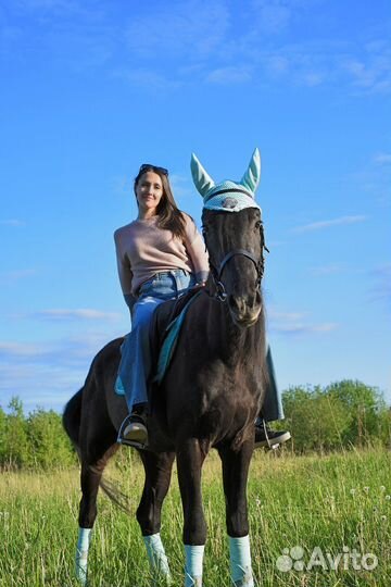 Прокат на лошадях