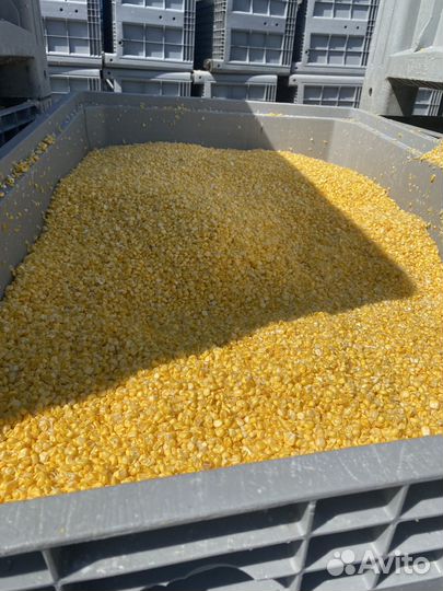 Кукуруза некондиция бандюэль