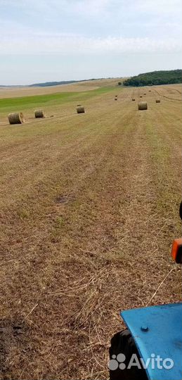 Продам сено в рулонах