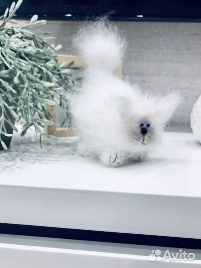 Пушистые котята