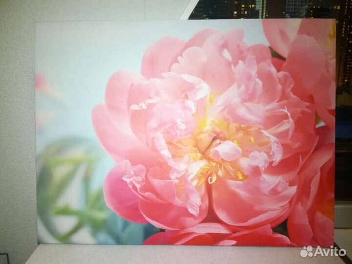 Панно (картина, картинка)