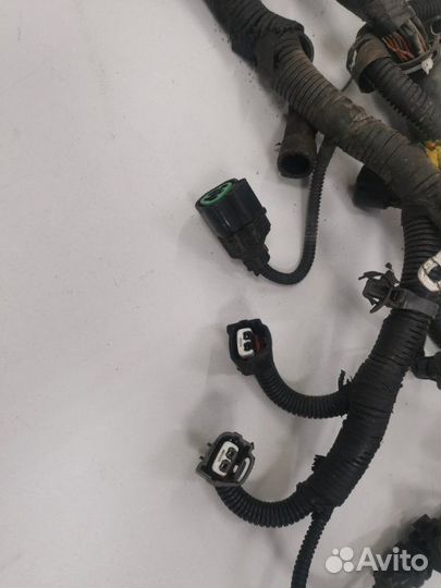 Проводка двс Hyundai Accent седан тагаз G4EC 2008