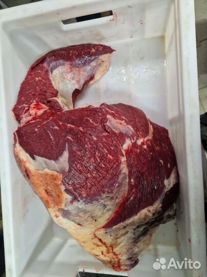 Тазобедренный отруб говядины