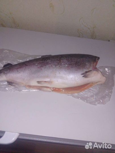 Сёмга Чавыча Форель Лосось(Дикая морская Россия)