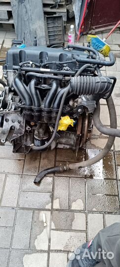 Двигатель Ford Fiesta Mk5 1.3