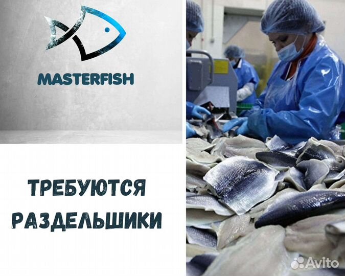 Раздельщик рыбы