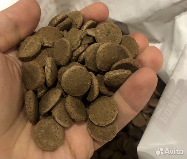 Сухой корм для собак и кошек