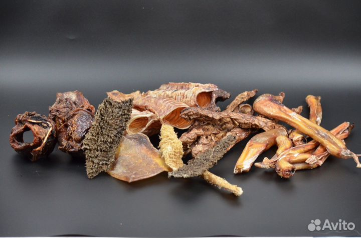 Корм для собак