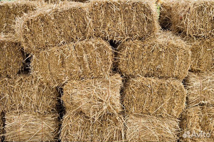 Солома в тюках и рулонах