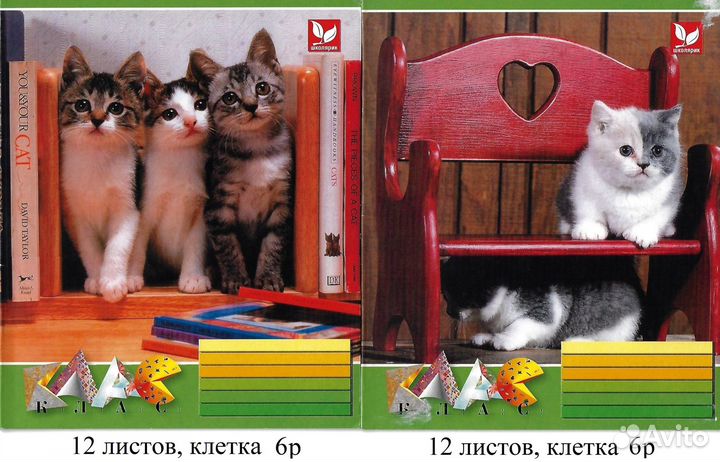 Тетради 12,18,48,96 листов и прописи