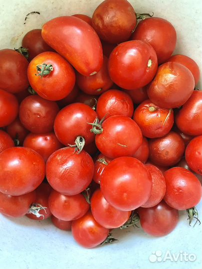Помидоры домашние
