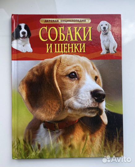 Энциклопедия