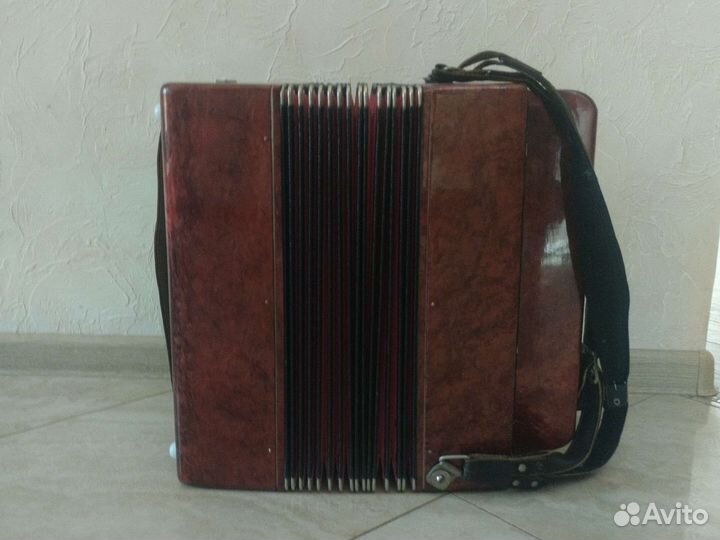 Баян тульский