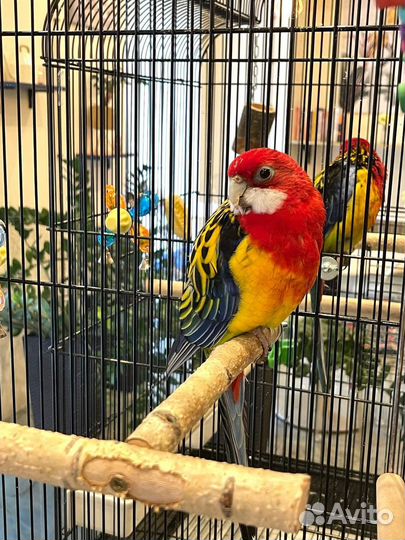 Продажа готового бизнеса