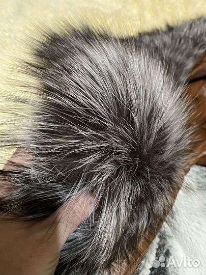 Куртка кожаная натуральная