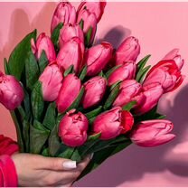 Тюльпаны оптом с теплицы