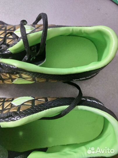 Сороконожки