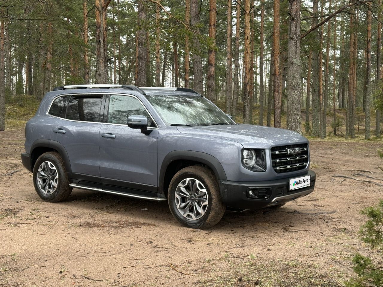 HAVAL Dargo: фото владельца