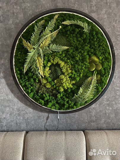 Панно из мха