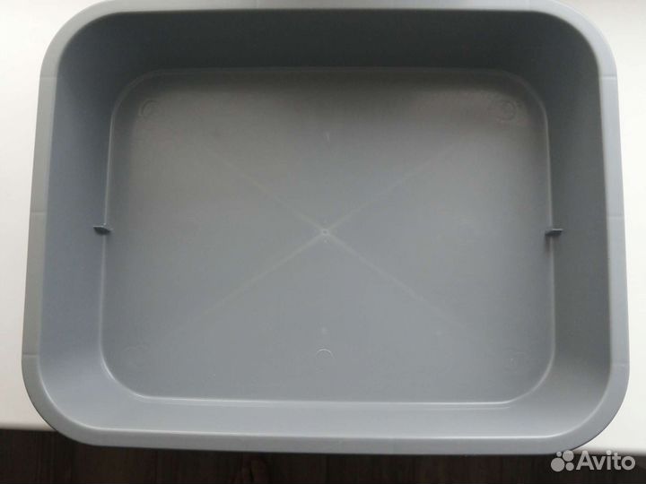 Лоток для котят