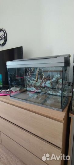 Аквариум Tetra на 60л. Полный комплект
