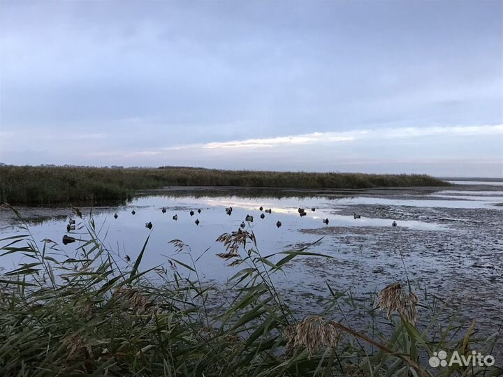 Чучела уток для охоты пластиковые